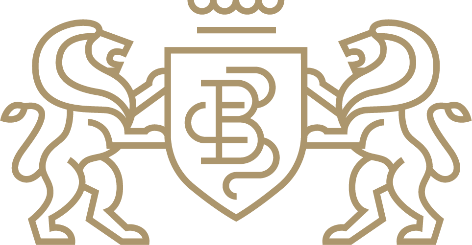 Brunnei Icon